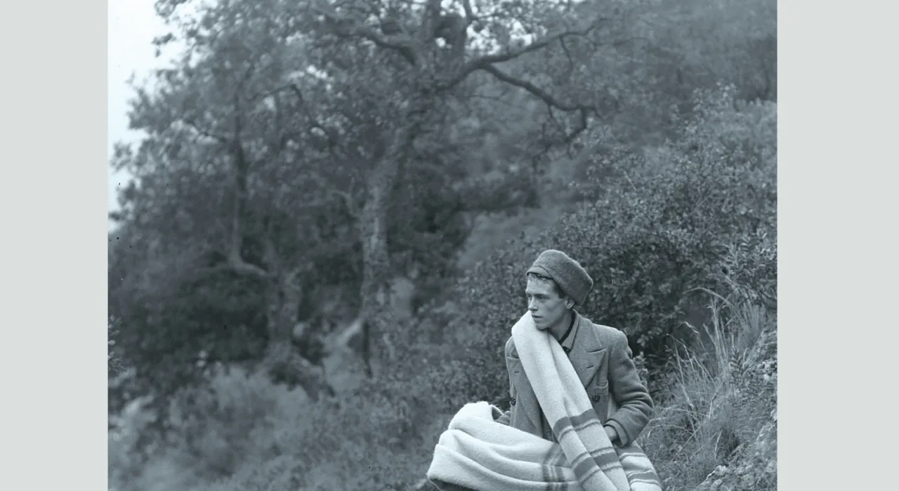 Cubierta delantera del libro Los girasoles ciegos